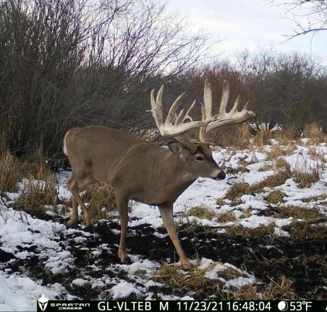 2S Whitetail ranch