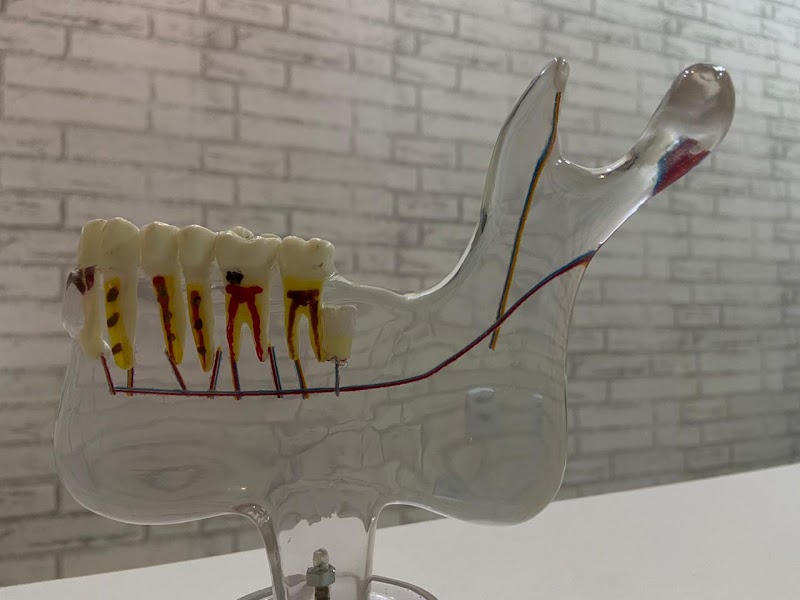 Dra. Tainá Souza | Dentista em Boa Vista - RR - foto 3