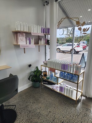 MEDUSA medusa photo 3