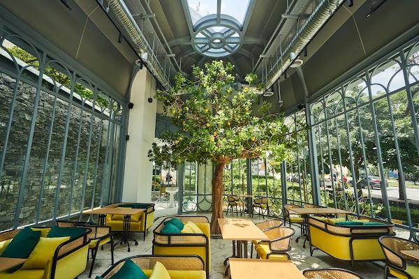 The Lemon Tree - Photo 1