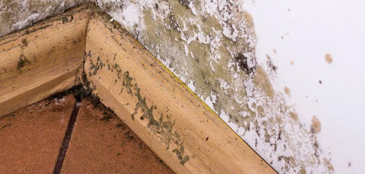 Commercial Cleaning & Restoration — photo