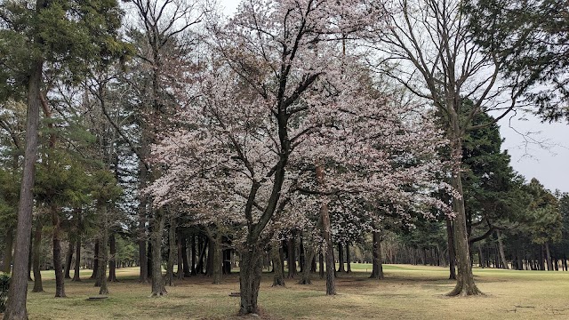 Sagami Hara Golf Club - Photo 4