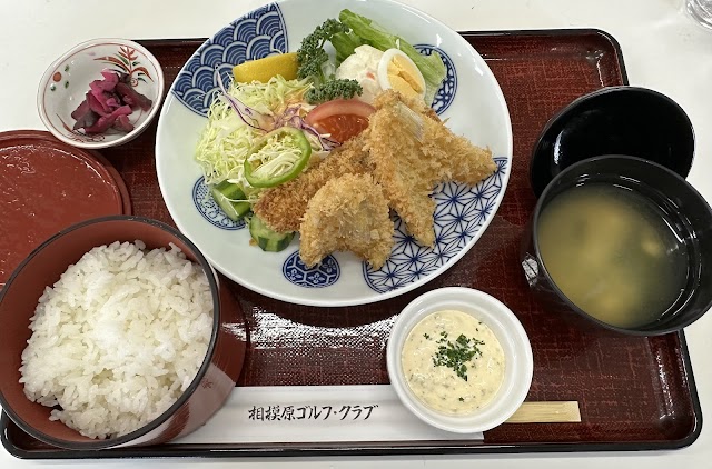 Sagami Hara Golf Club - Photo 6