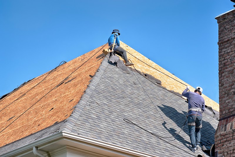 Lifetime Quality Roofing photo 1