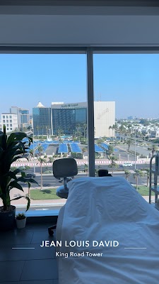 جون لويس دافيد Jean Louis David