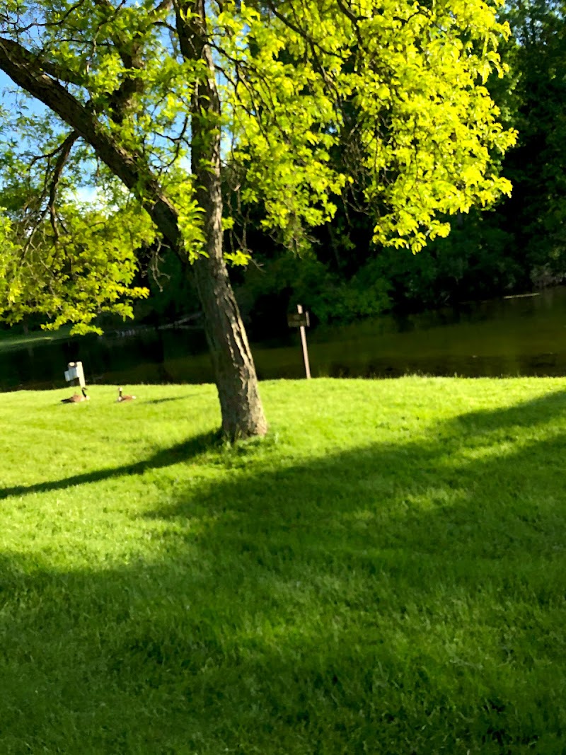 Addison Oaks - Disc Golf photo 5