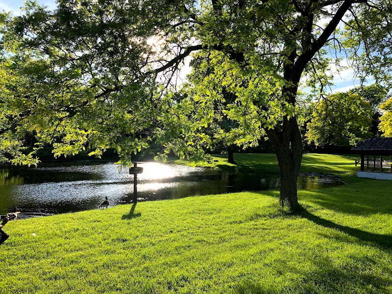Addison Oaks - Disc Golf photo 3