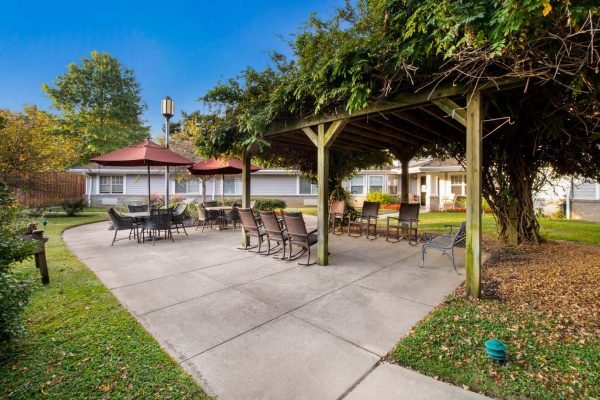 Photo by Vitality Living Springdale