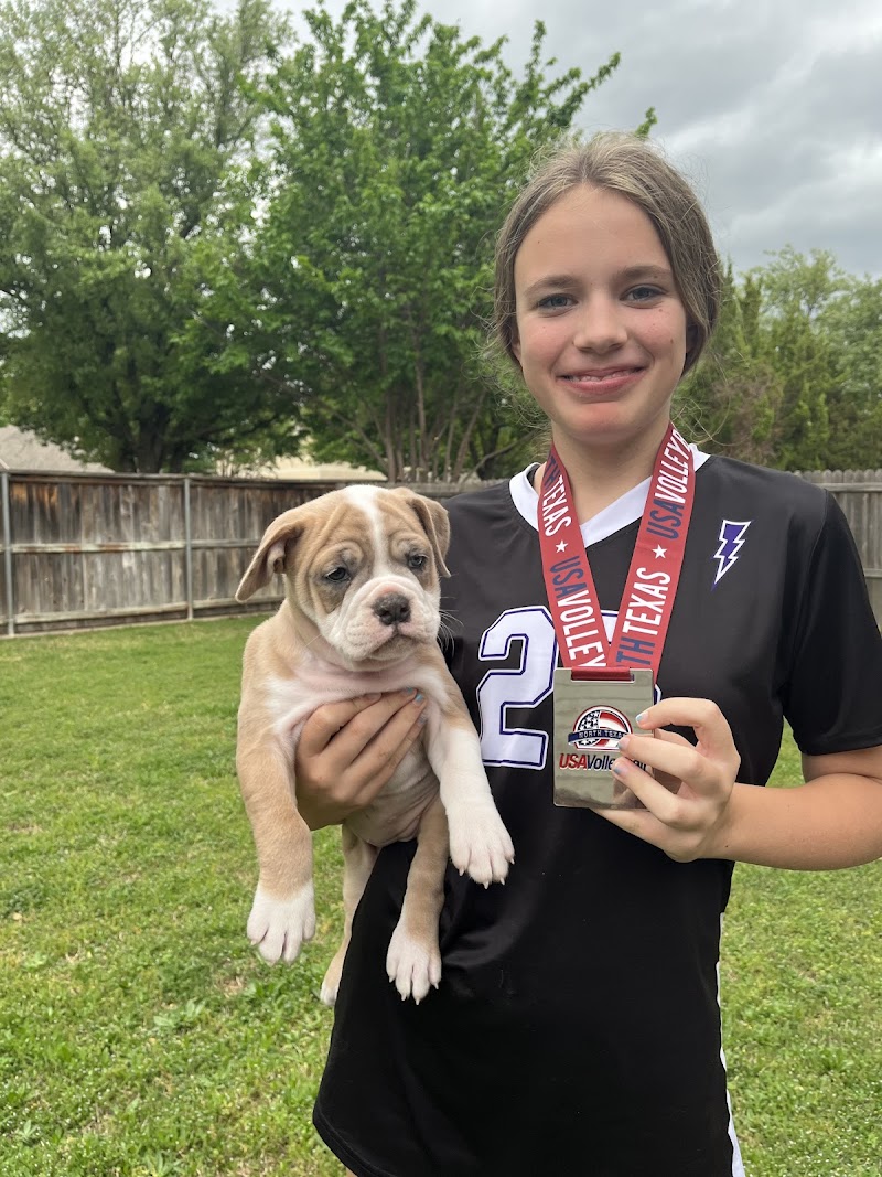 STORM Volleyball club