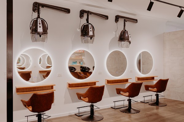 Midges The Salon photo 2