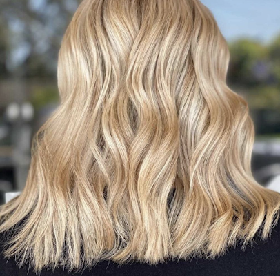 Midges The Salon photo 3