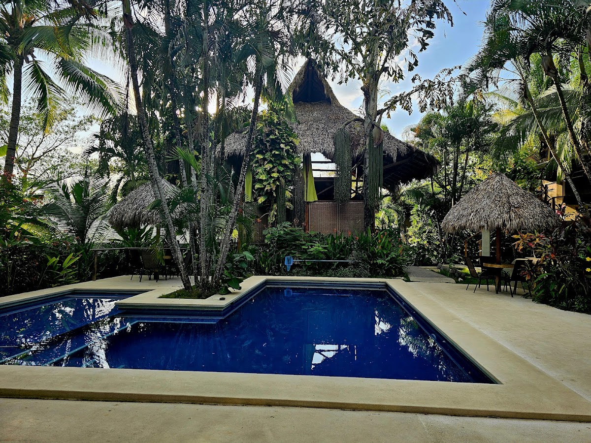 Fuego Lodge Hotel & Yoga Resort, Santa Teresa, CR — 4