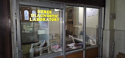 Shree Diagnostic Laboratory - Image 3