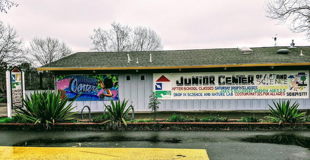 Junior Center Of Art & Science photo