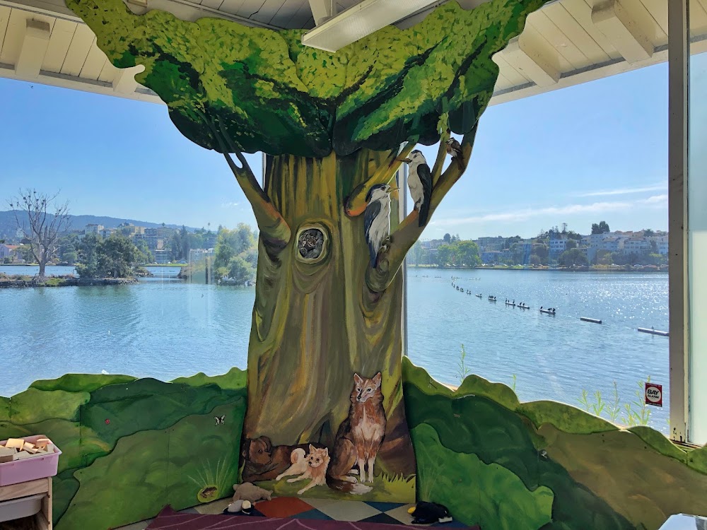 Junior Center Of Art & Science photo