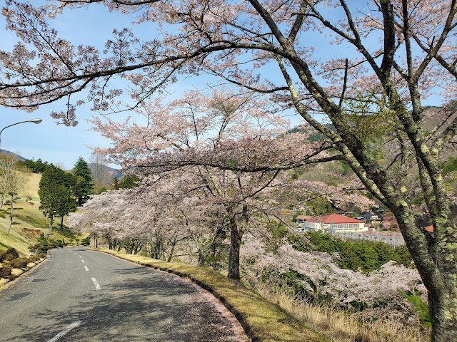 Sakura Hills Golf Club - Photo 10