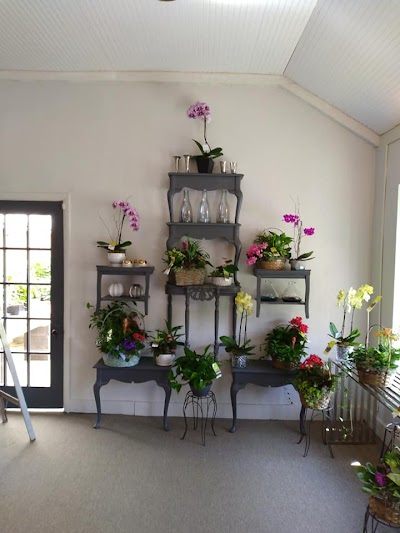 Ensign The Florist