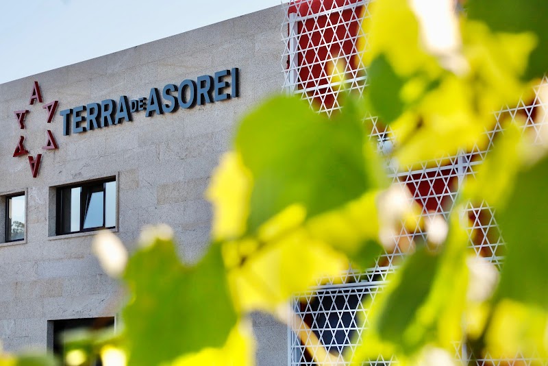 Adegas Terra de Asorei photo 4