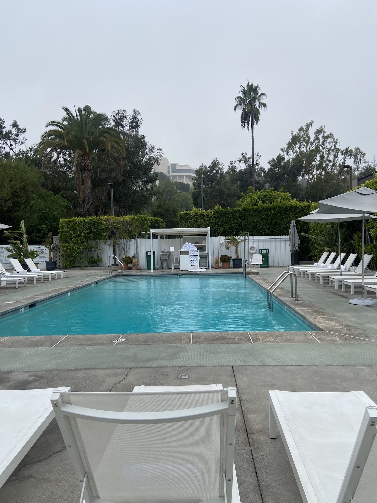Luxe Sunset Boulevard Hotel, dog-friendly hotel, photo 2