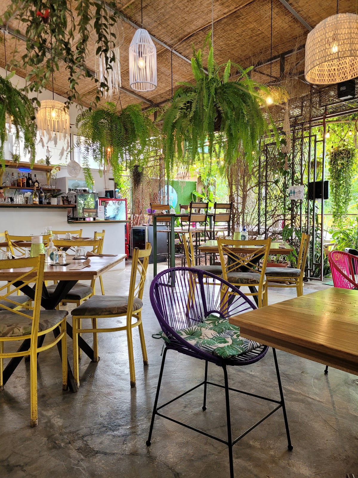 El Chante Verde in la-fortuna