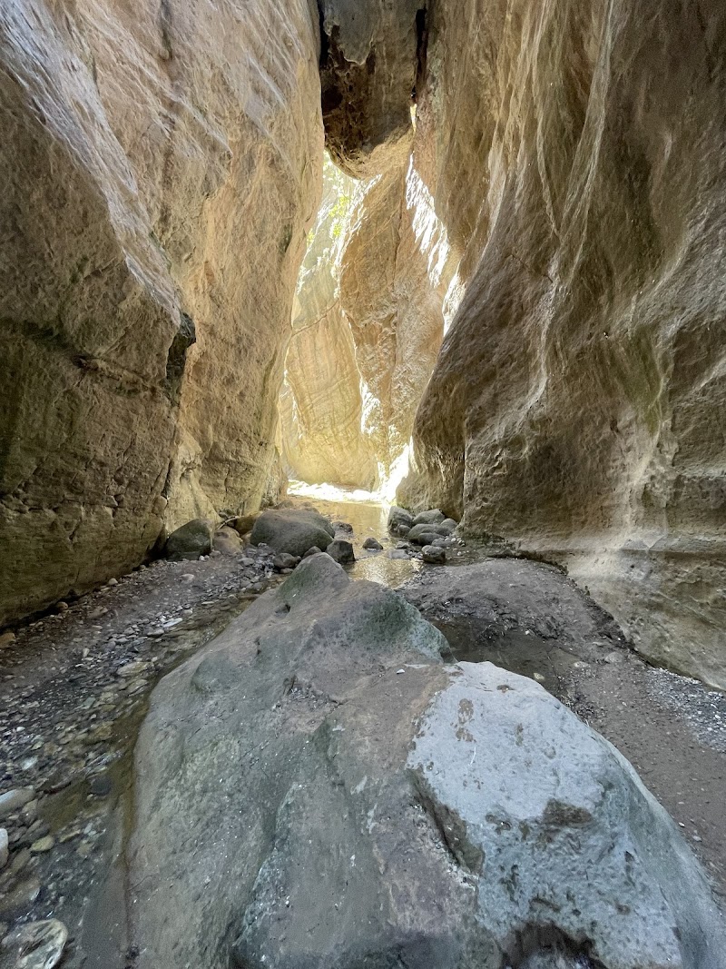 Avakas Gorge Nature Trail