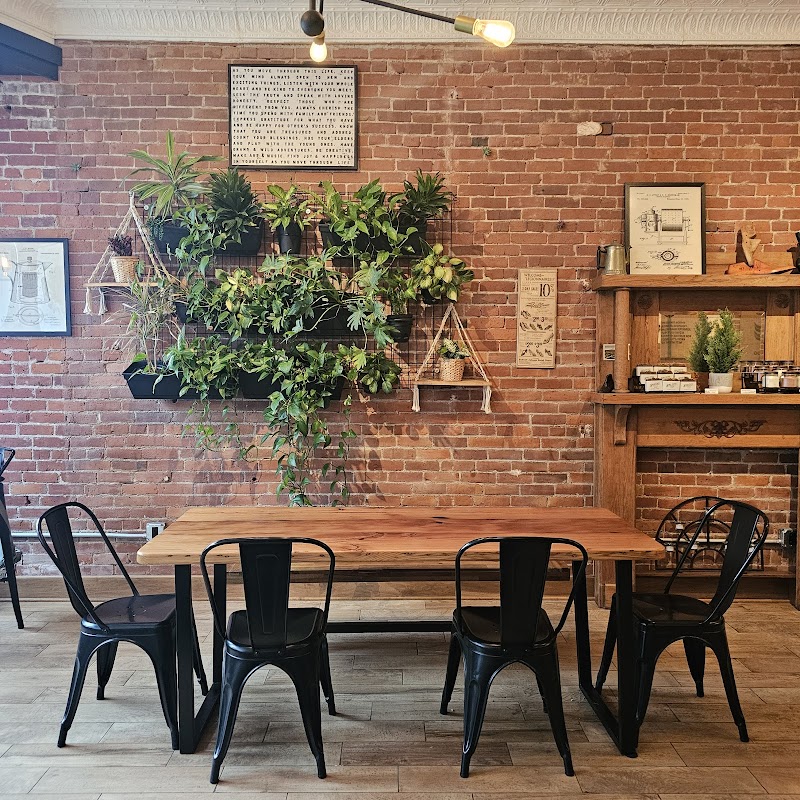 Sole City Coffee photo 3