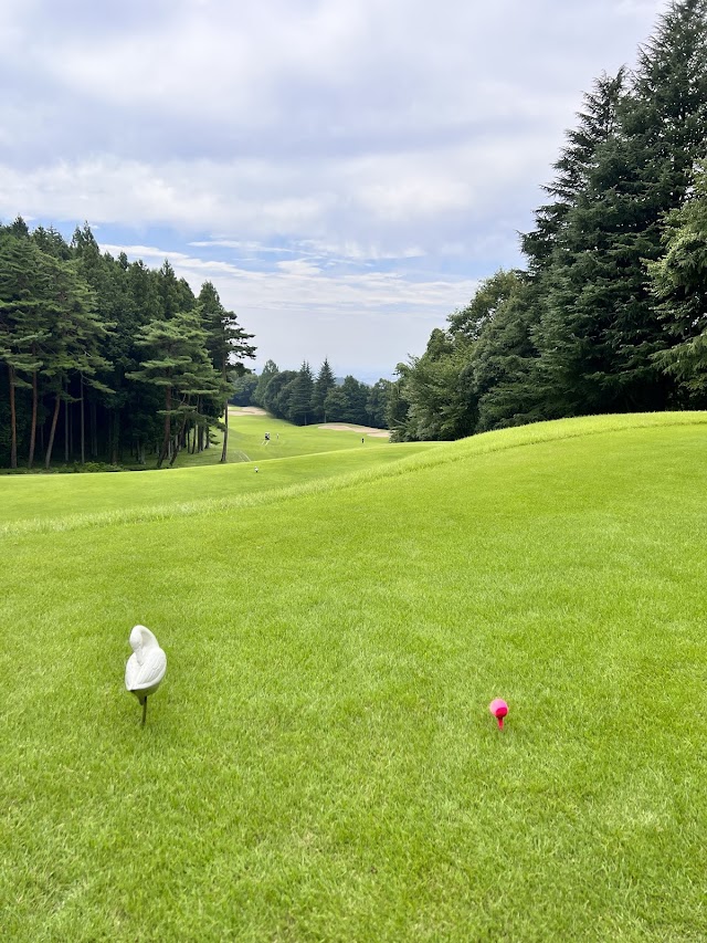 Shiramizu Golf Club - Photo 6
