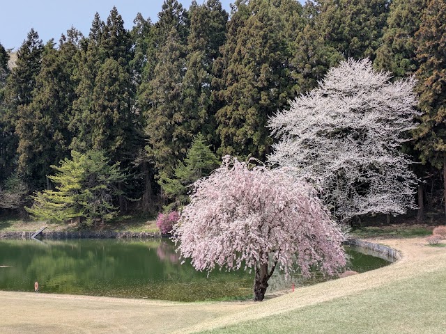 Shiramizu Golf Club - Photo 7