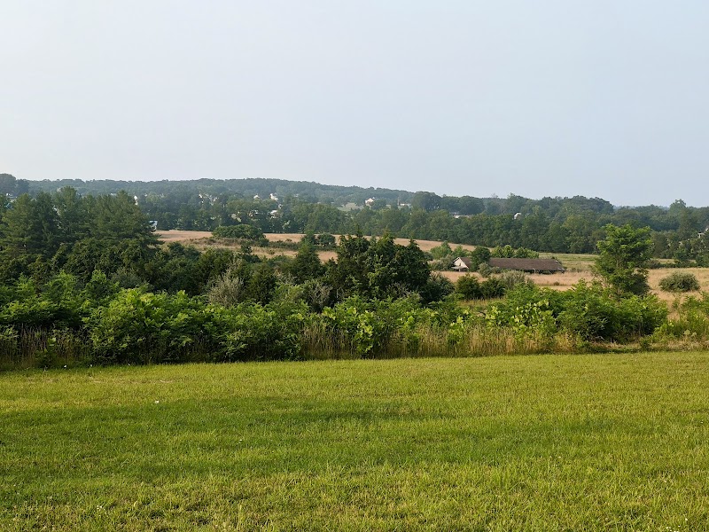 Rockland Park Disc Golf Course photo 5