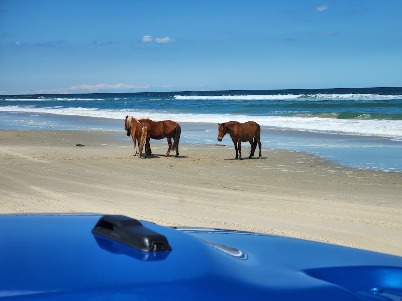 Corolla Beach in Outer Banks