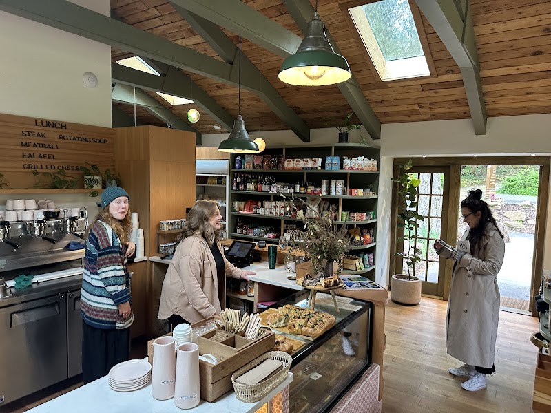 The Pink Geranium photo 2