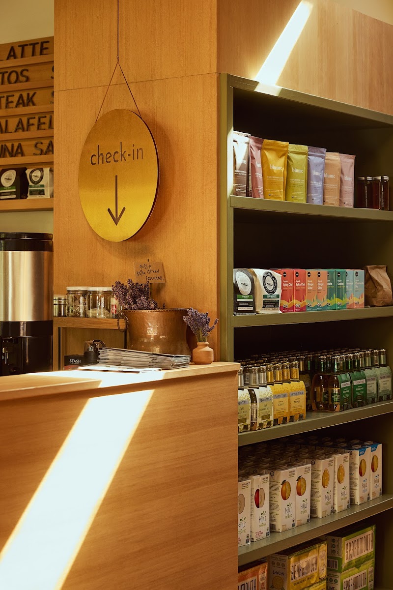 The Pink Geranium photo 3