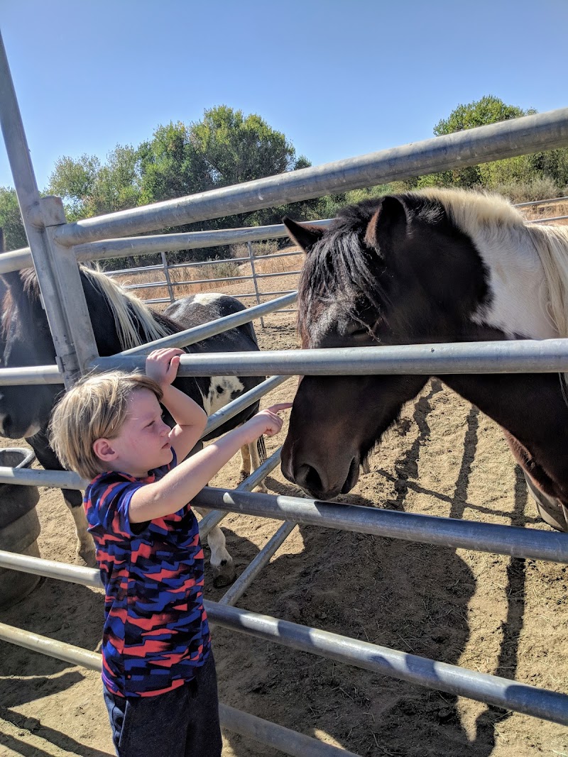 Harris Stagelines Event Fcllty