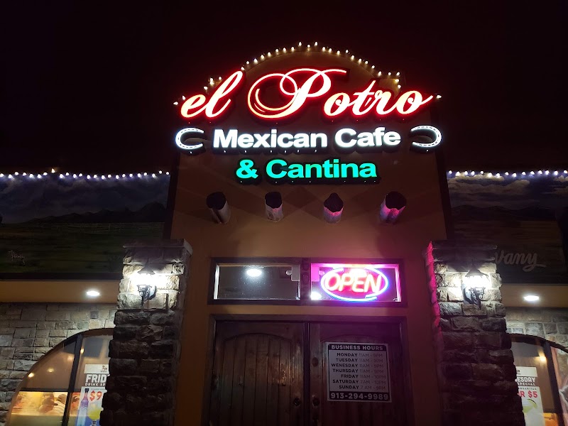 El Potro Mexican Cafe photo 1