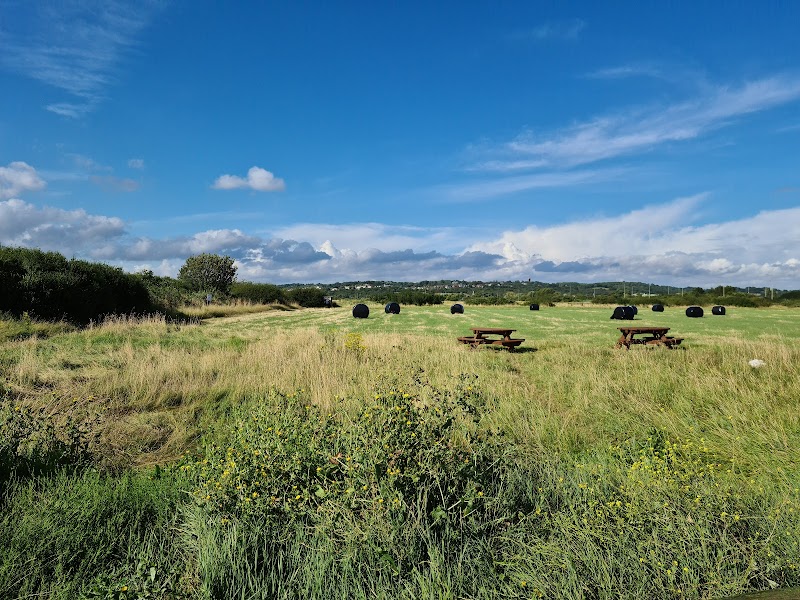 RSPB West Canvey Marsh