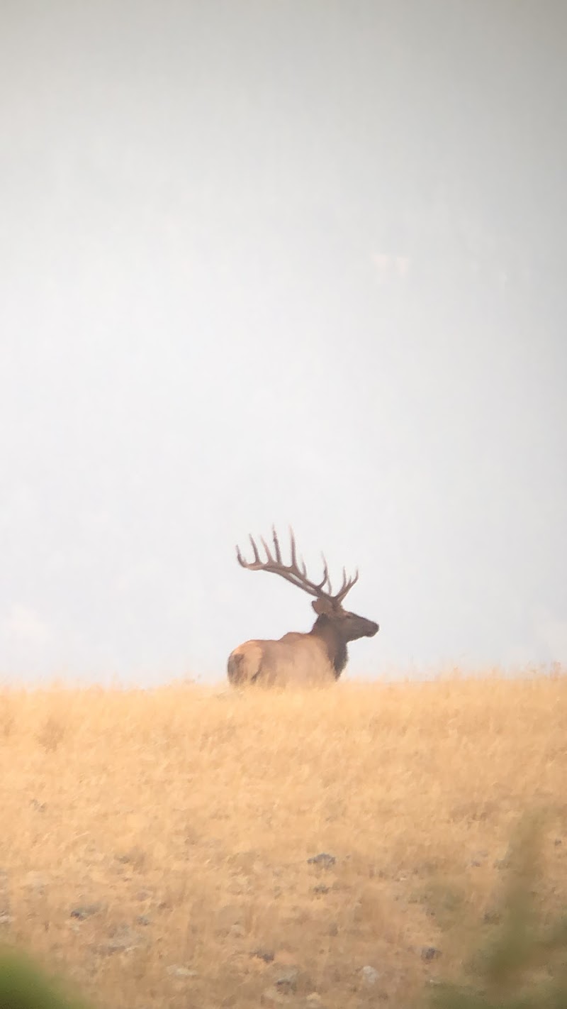 Bull Basin Outfitters - Photo 2
