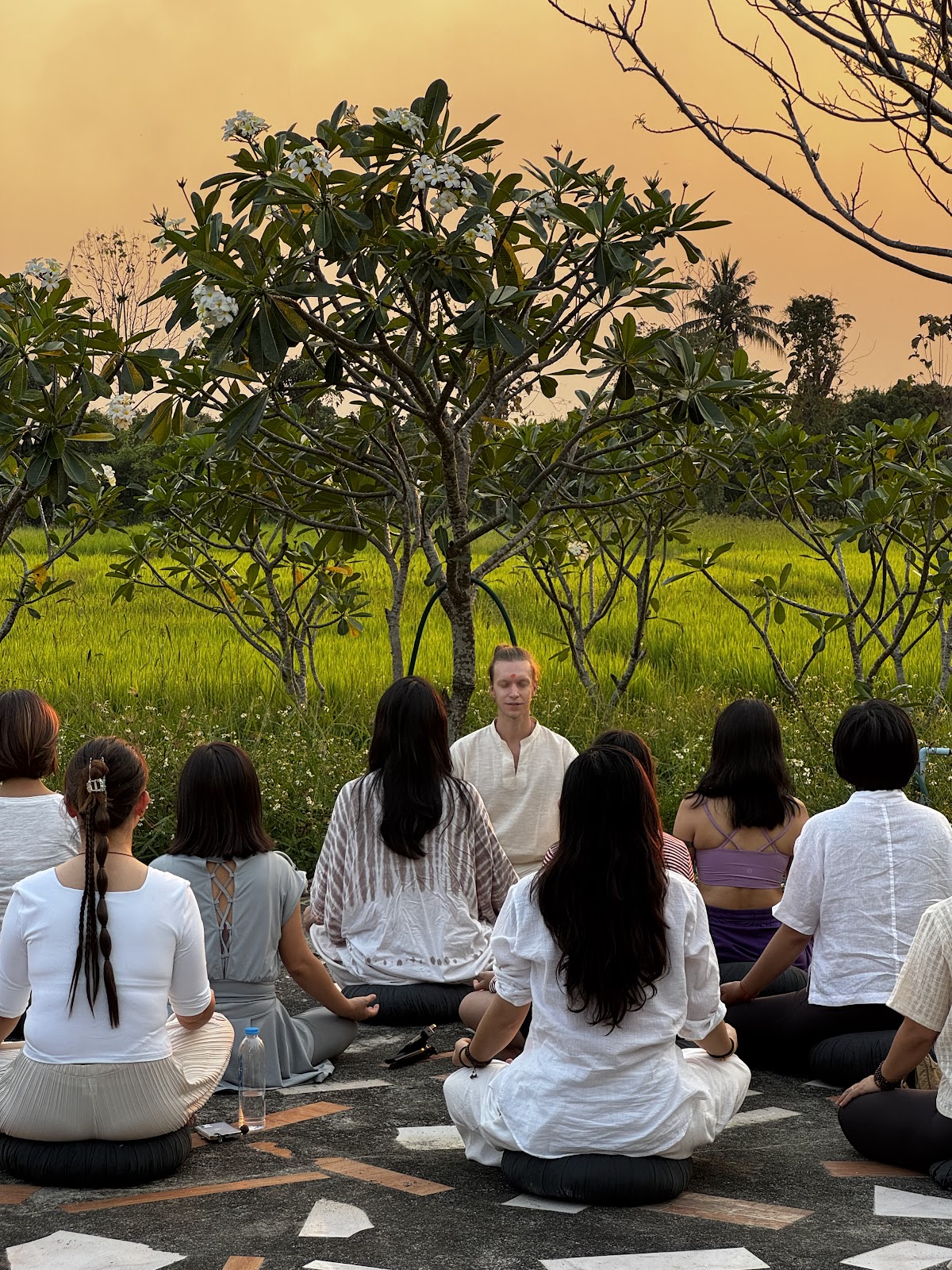 World Peace Yoga and Wellness Retreat