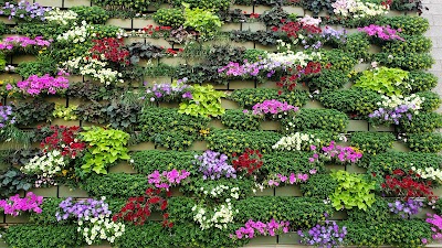 Gallery Garden