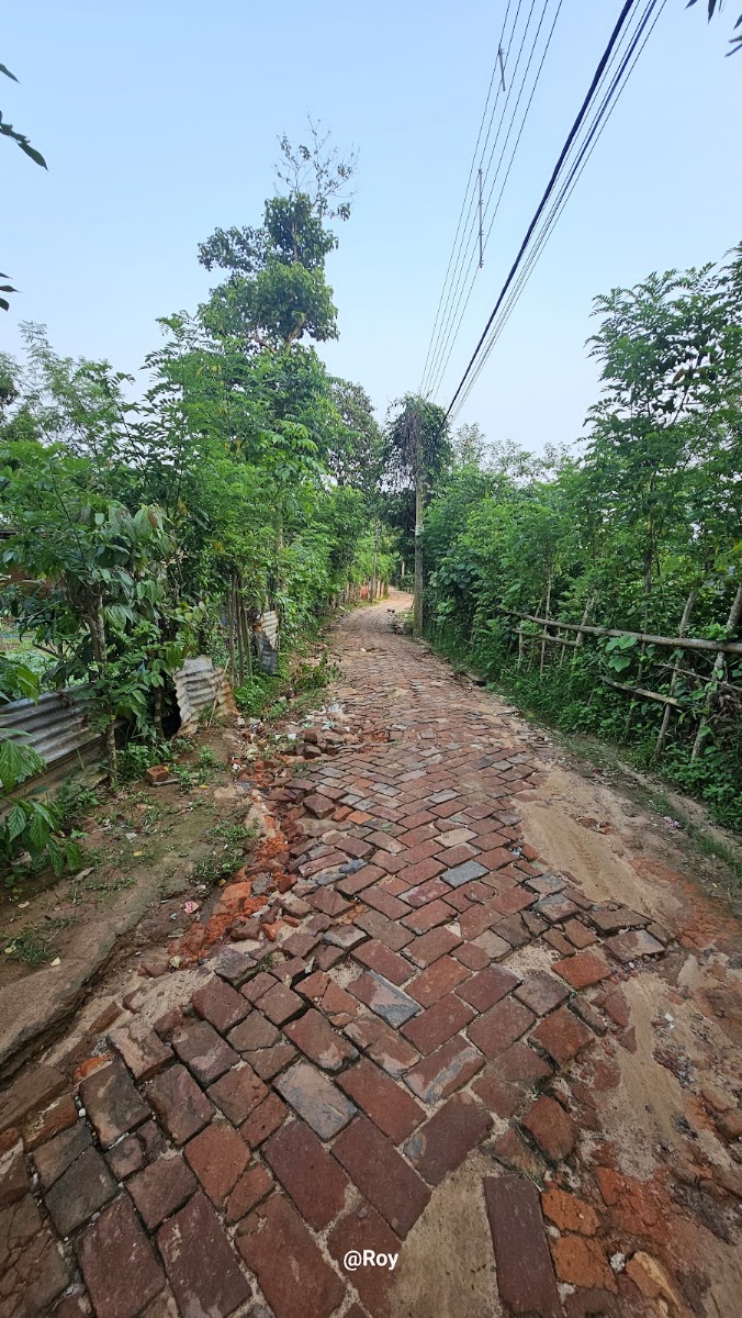 Half quarter Google photo 1