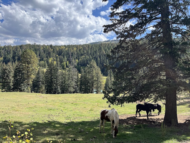 Los Pinos Guest Ranch - Photo 3