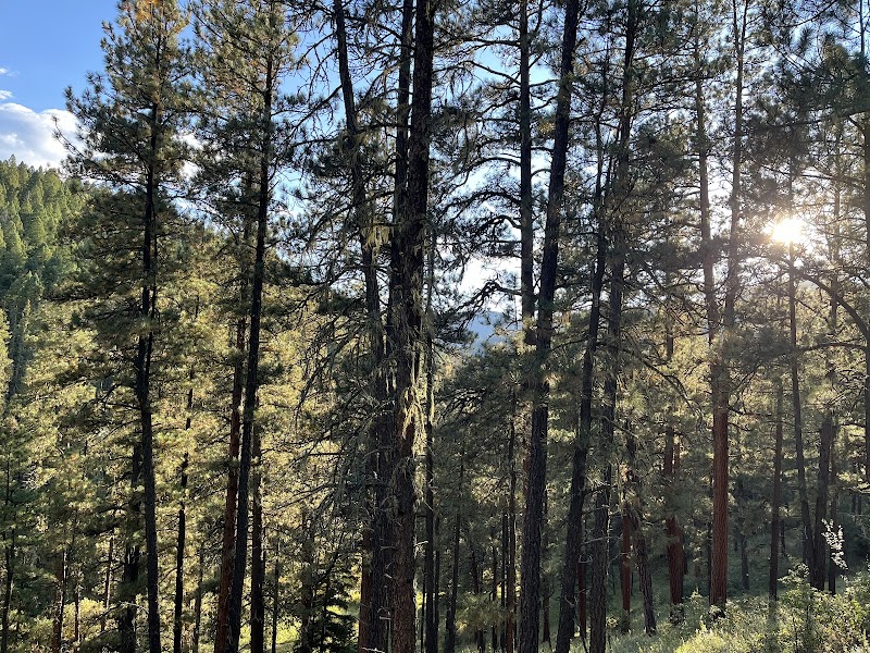 Los Pinos Guest Ranch - Photo 5