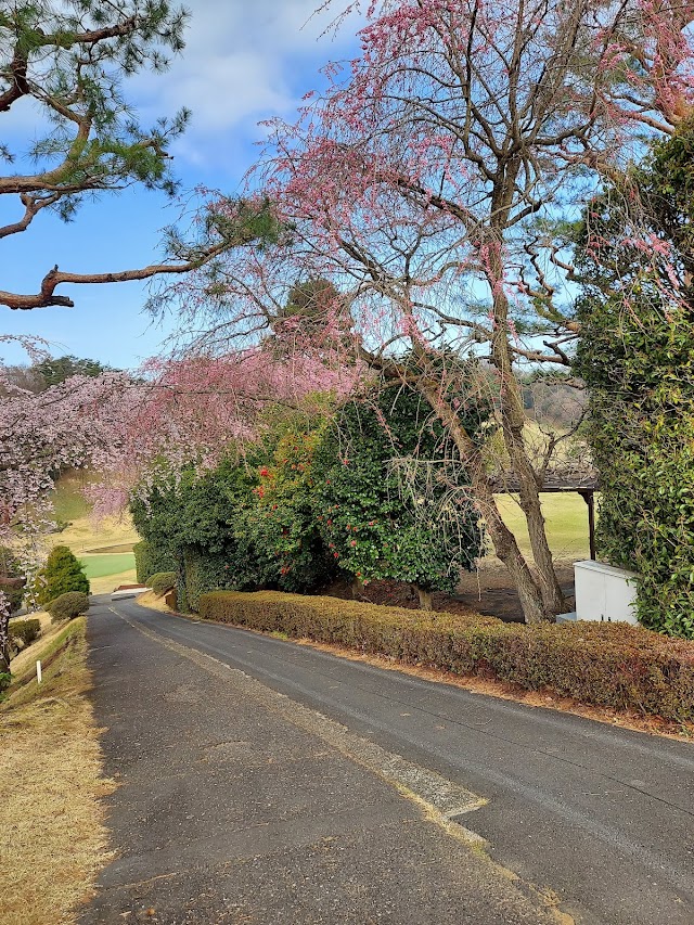 Tachikawa International Country Club - Photo 9