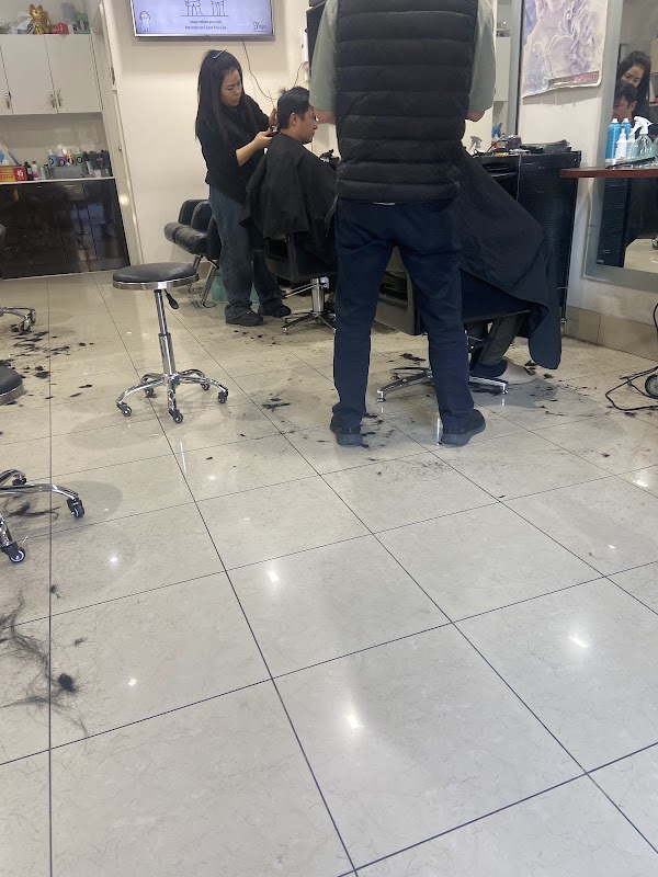 Wing Hair Image photo 1