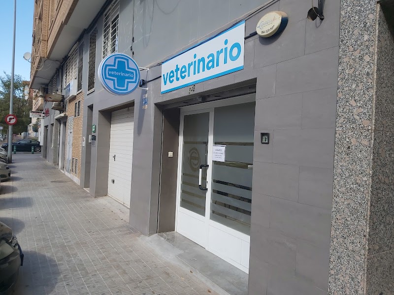 Clínica Veterinaria Arrieta