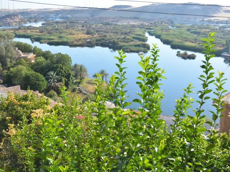 Aswan Nile Palace photo 4