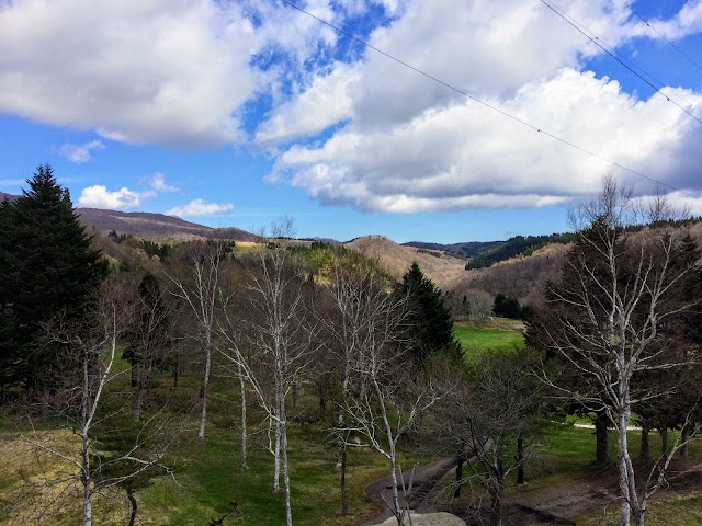 Hakodate Park Country Club - Photo 9
