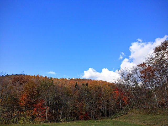 Hakodate Park Country Club - Photo 3