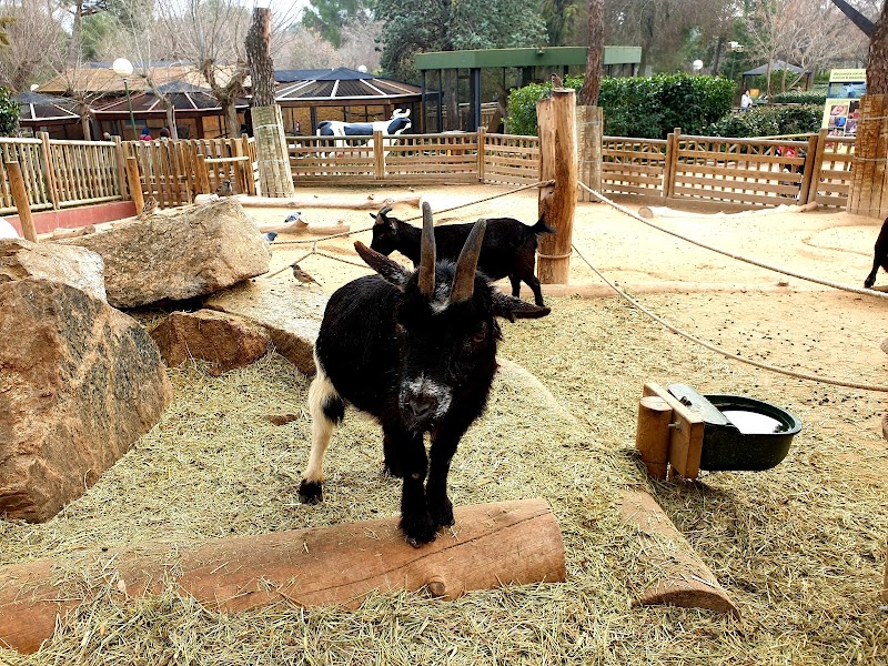 Animales de la Granja