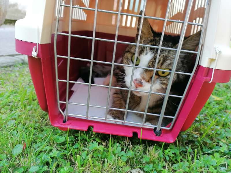 Clínica Veterinaria Bezana