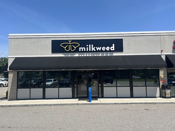 Milkweed